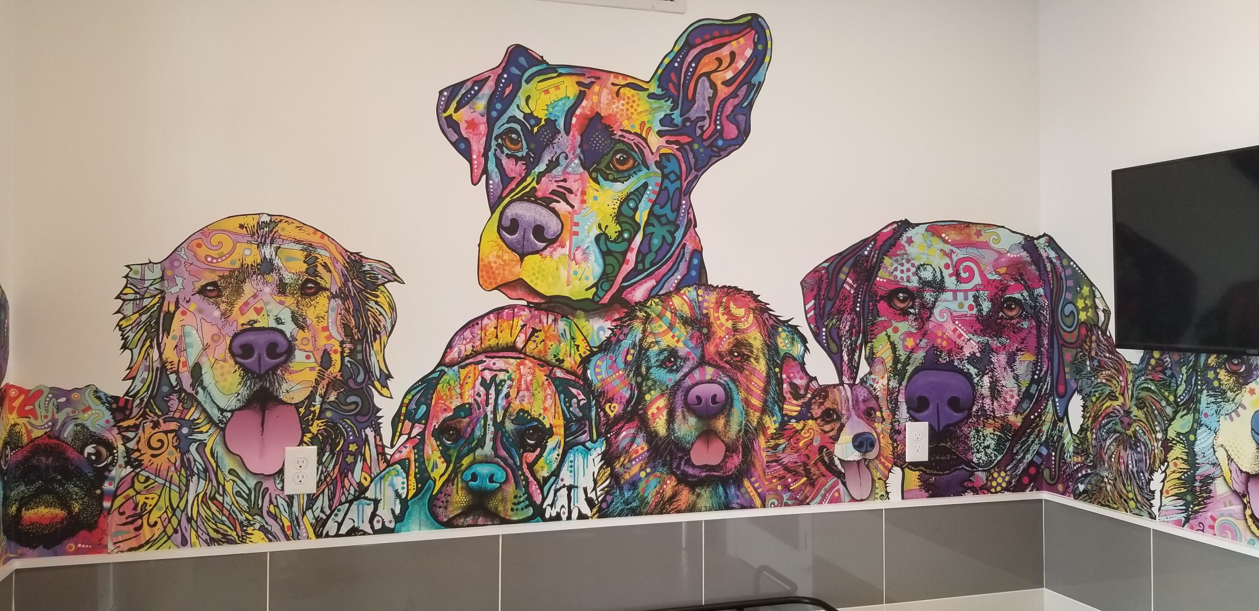 Dog Care Area Painting