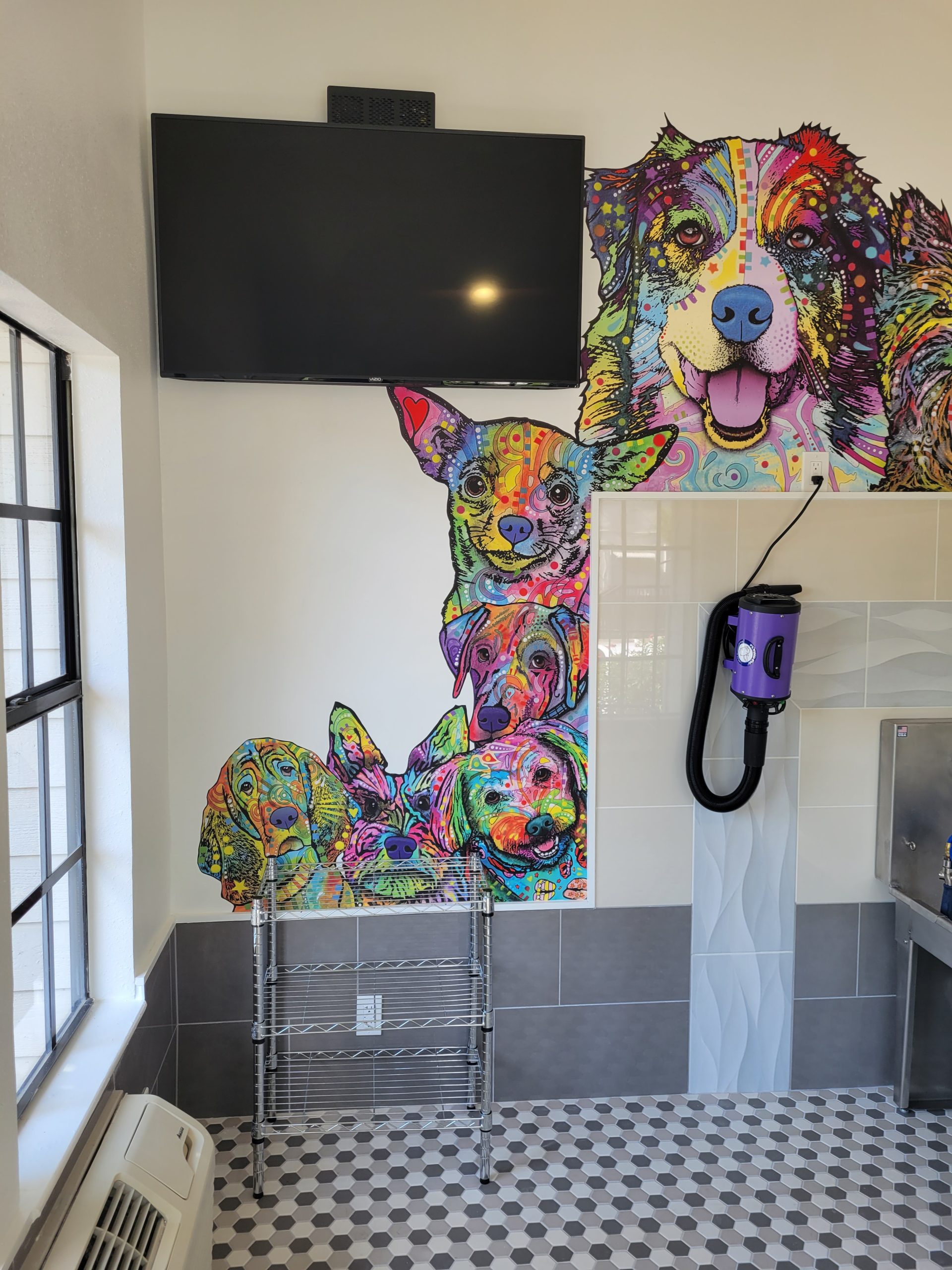 4800 Westshore Apartments