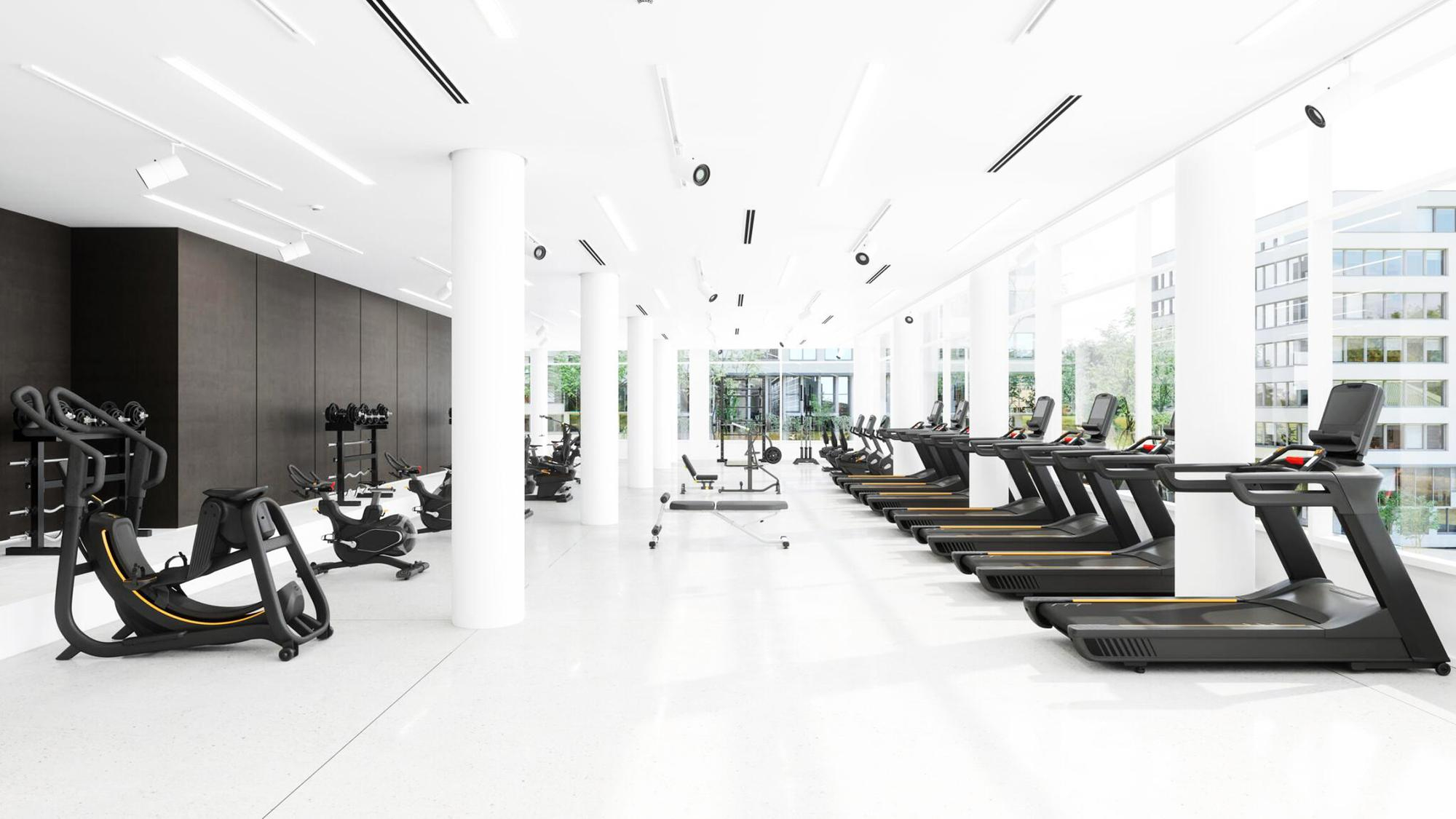 Gym Interior Renovations 2