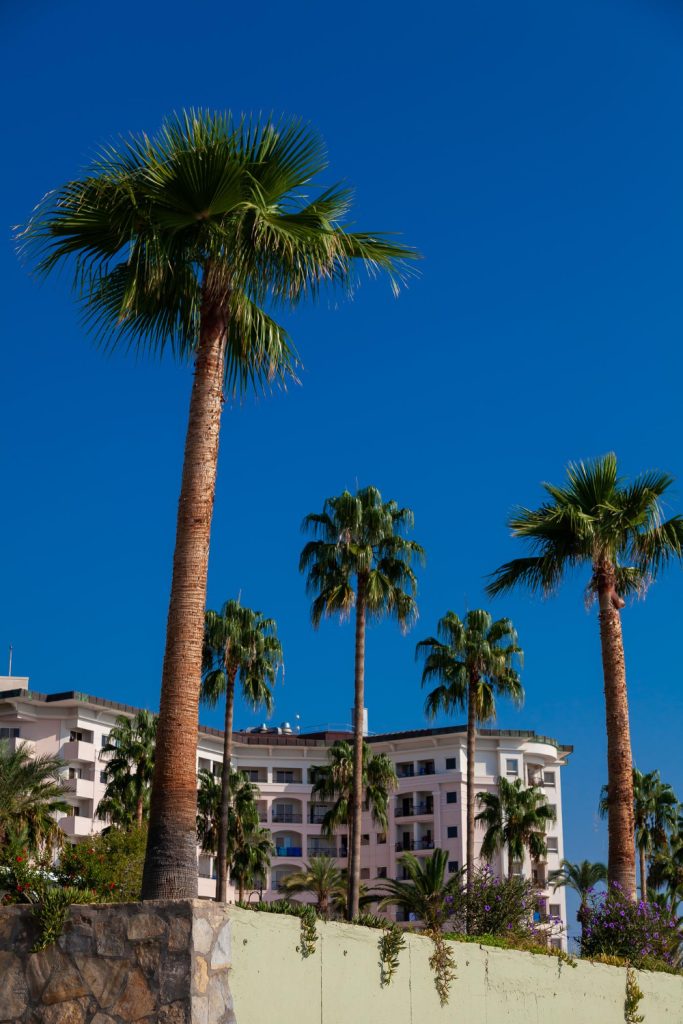 How Multifamily Interior Renovations in Florida Can Improve Your Property in 2027 V1